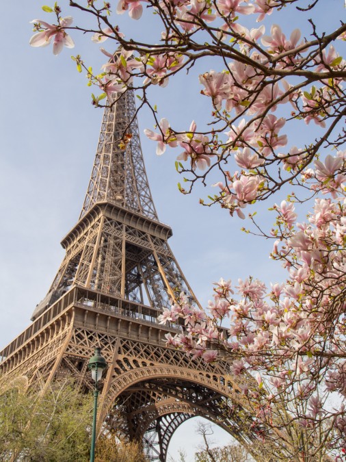 Paris in the Spring