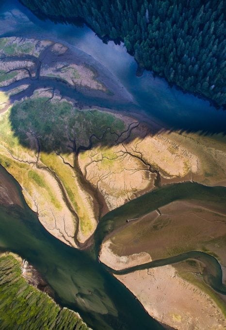 british-columbia-rivers-landscape-salmon-tavish-campbell