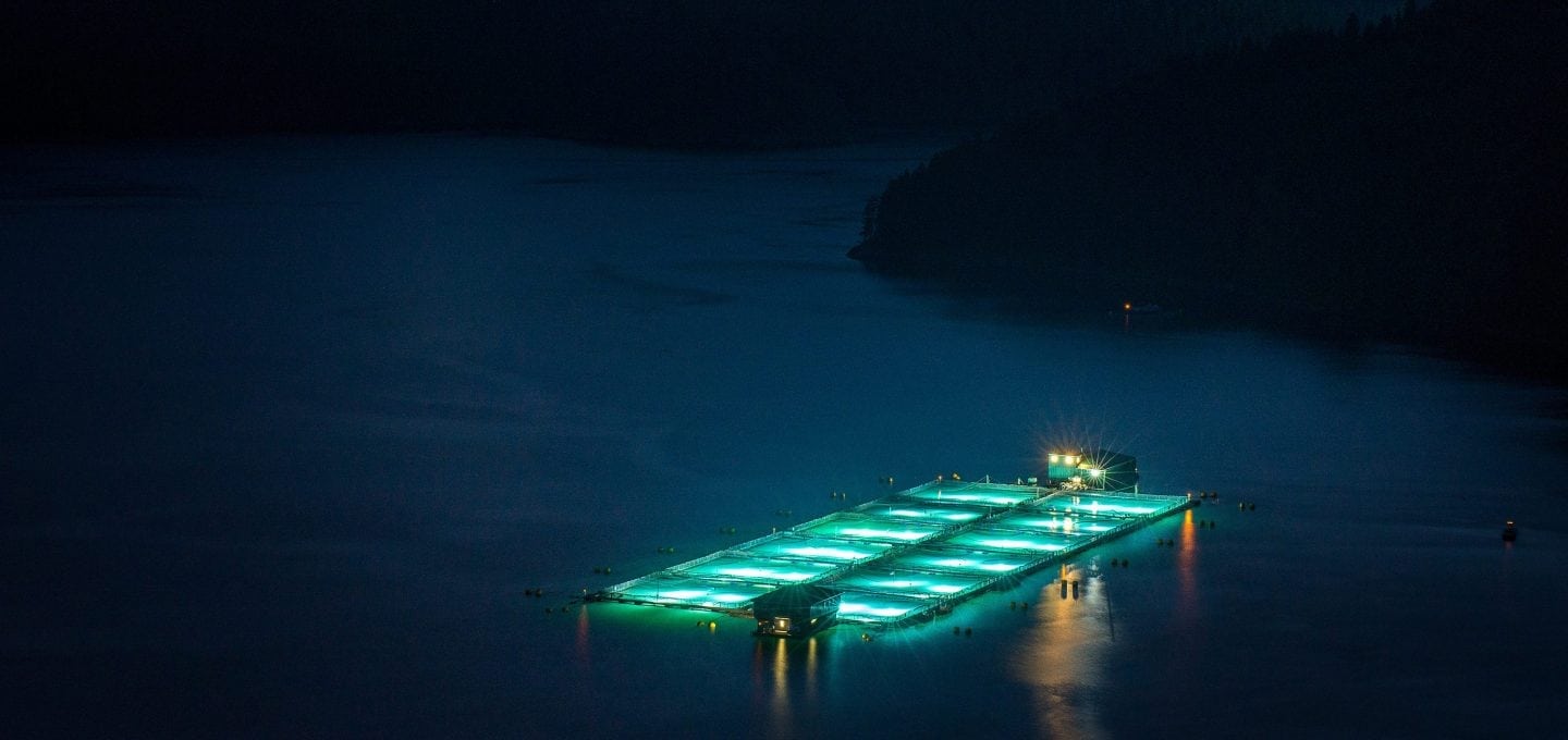 canada-fisheries-atlantic-salmon-tavish-campbell