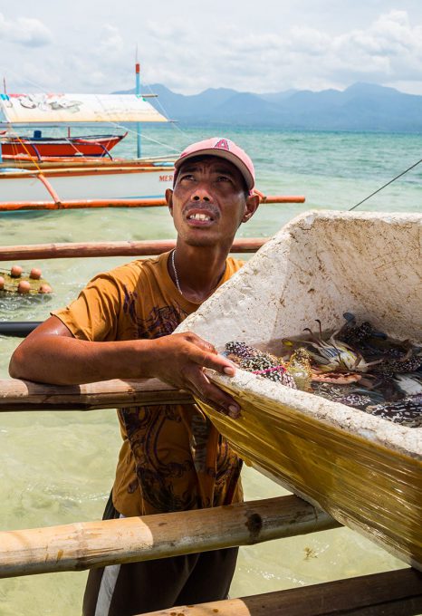 mercedes-philippines-rare-fishing