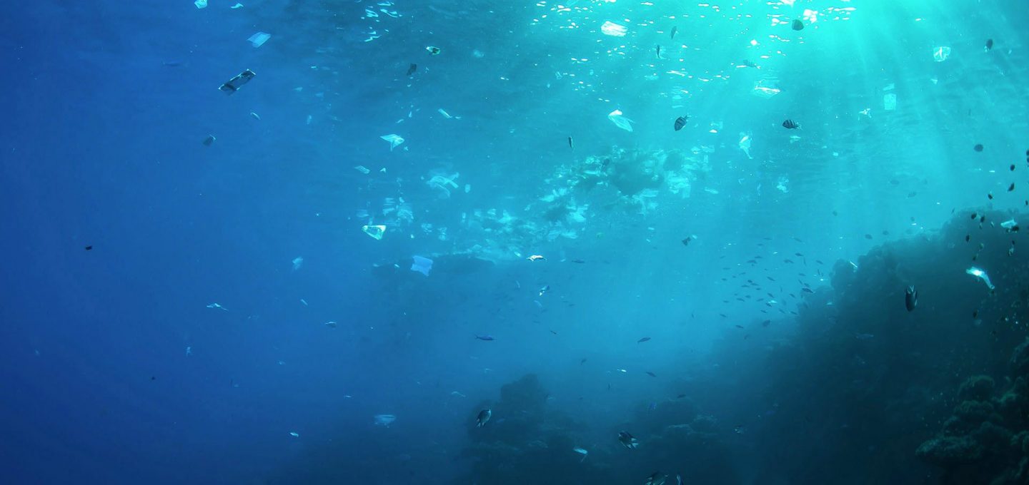 plastic-pollution-ocean-reef-underwater-photography