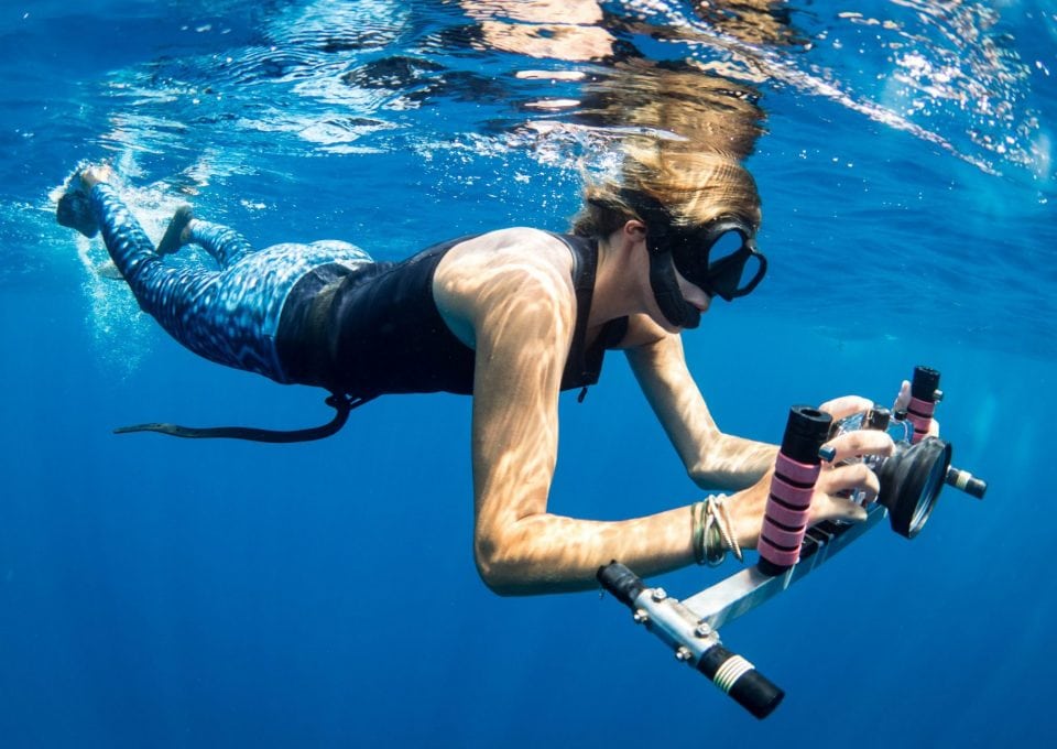 Dr-Andrea-Marshall-whale-shark-laser-camera-measure