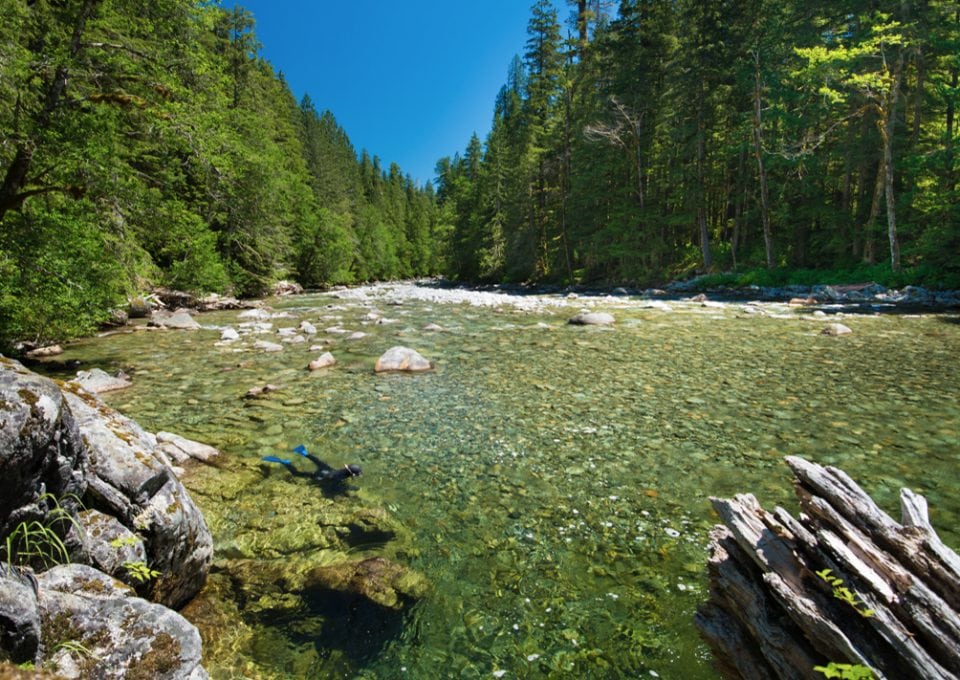 River snorkelling, river photography, underwater photography.