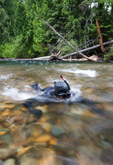 River snorkelling, river photography, underwater photography.