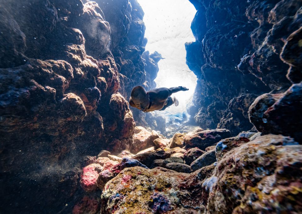 breath-hold-underwater-photography-freediving-daan-verhoeven
