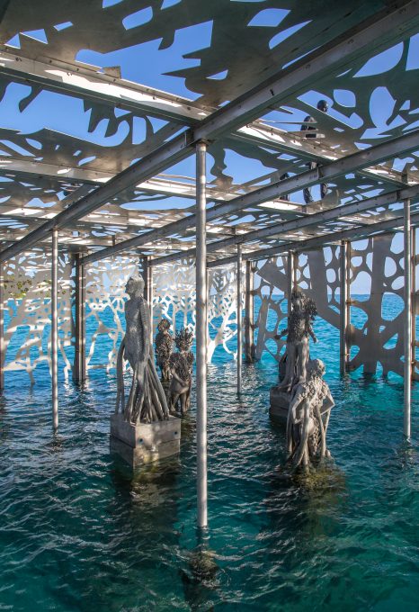 coralarium-jason-decairnes-taylor-maldives-cat-vinton-underwater-ocean-conservation