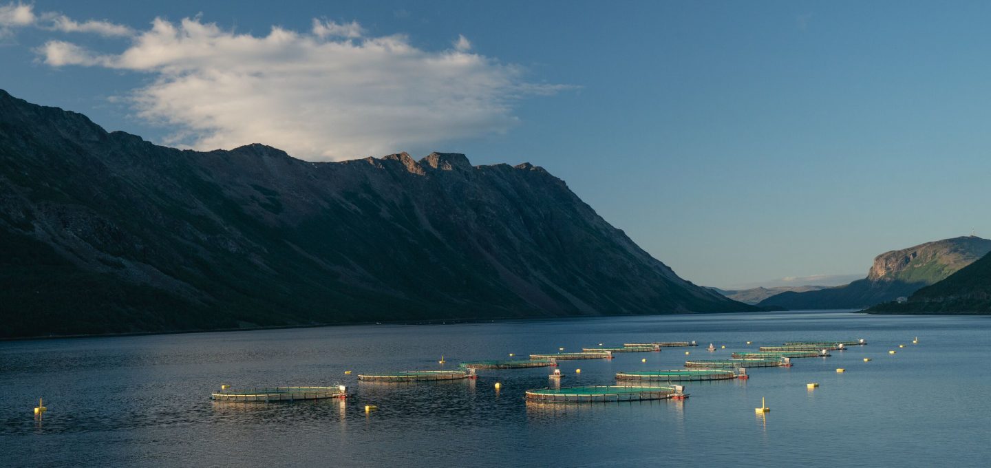 ARTIFISHAL-film-patagonia-salmon-farming-fisheries-ben-moon