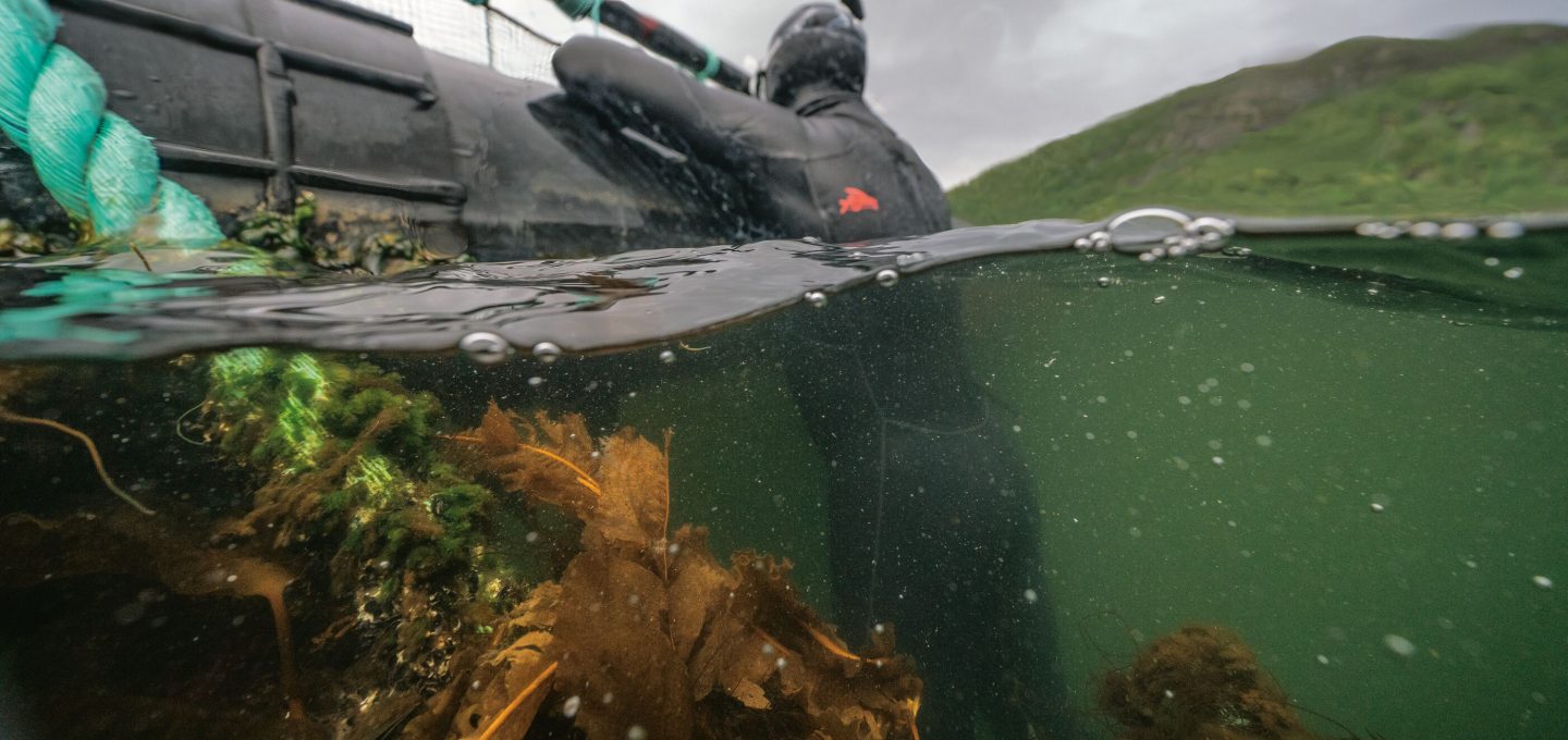ARTIFISHAL-film-patagonia-salmon-farming-fisheries-ben-moon