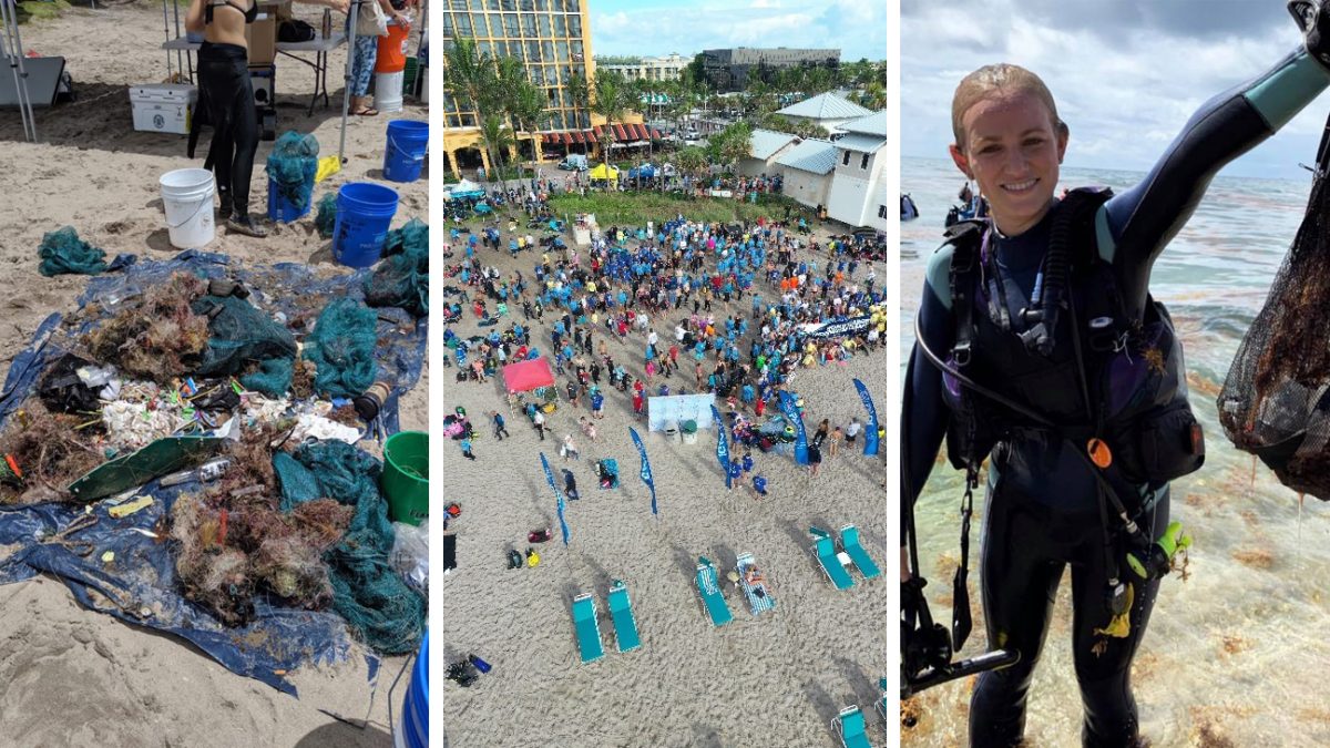 project-aware-beach-clean-divers-against-debris