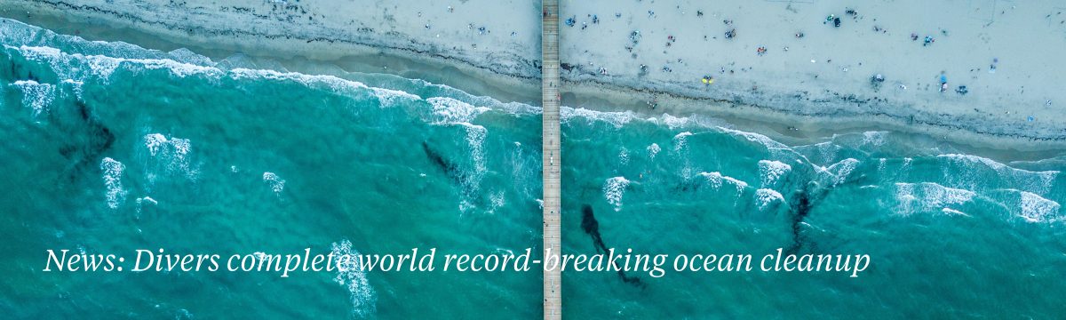 surfers-against-sewage-plastic-free-awards
