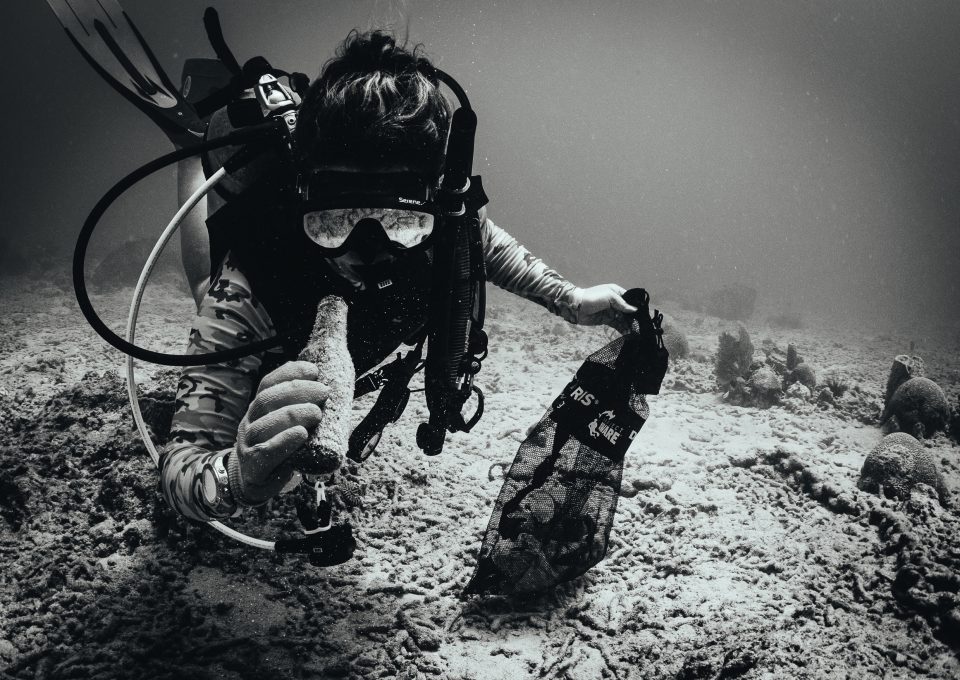 BARBADOS-OCEAN-CLEAN-UP-DIVER