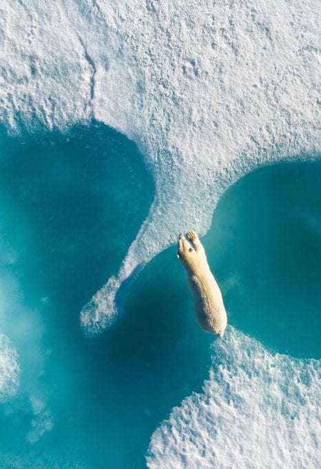 Florian Ledoux drone filmmaker ocean cinematographer oceans film festival polar bear ice arctic landscape