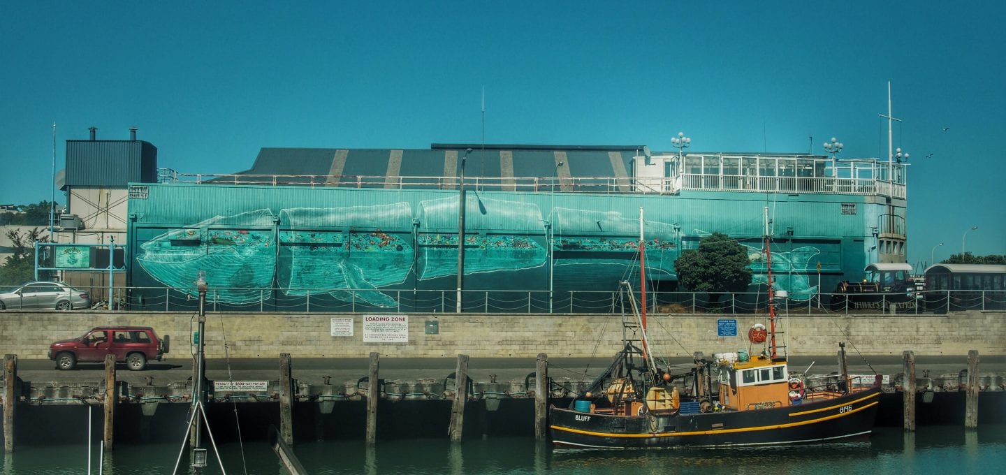 tre packard pangea seed sea walls ocean activism conservation artivism harbour public art