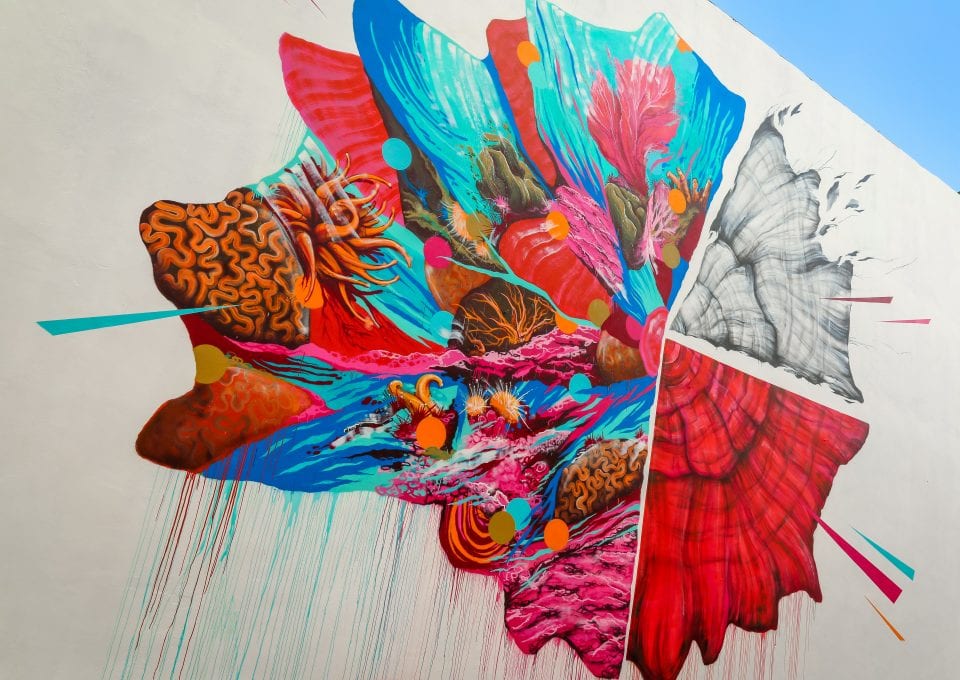 tre packard pangea seed sea walls ocean activism conservation artivism public art
