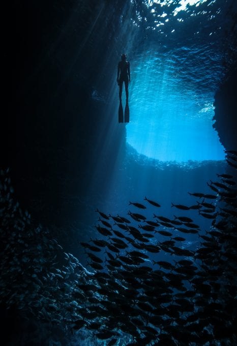 tre packard pangea seed sea walls ocean activism conservation artivism freediving