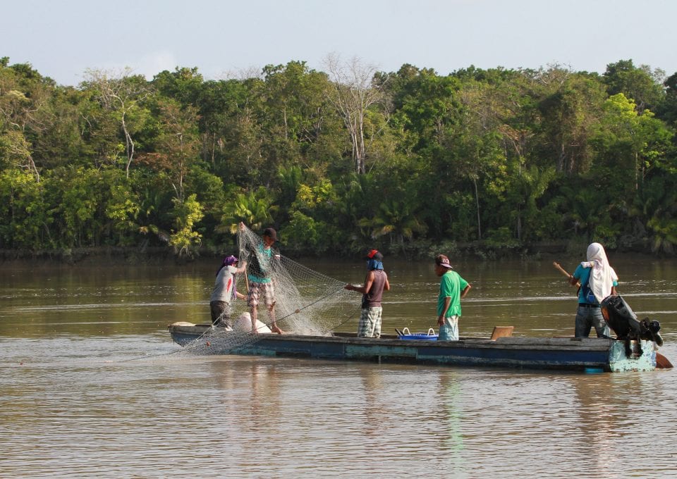 shark and ray marine conservation MarAlliance traditional fishermen