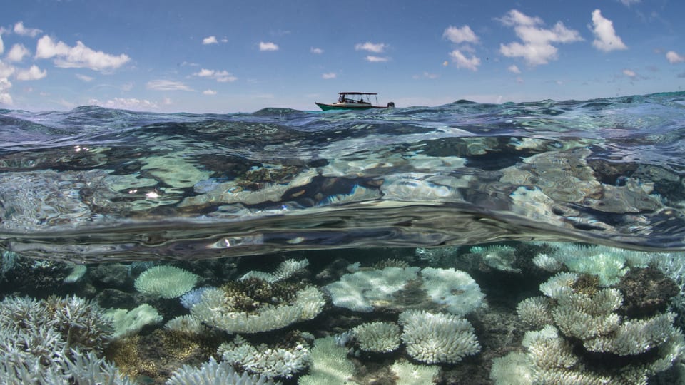IPCC UN report changing climate red alert global warming