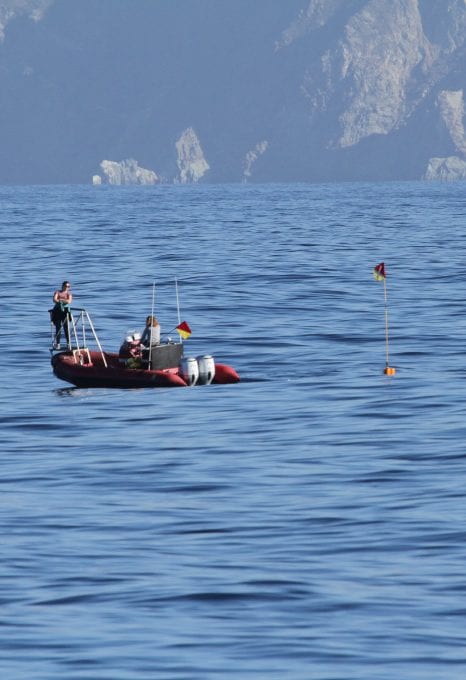 Brandon Southall Ocean Sound SEA Inc Noise Pollution ocean acoustics