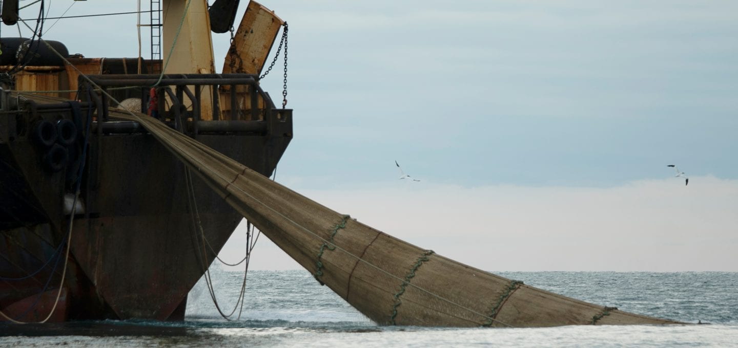 marine protection Greenpeace DEFRA UK fishing fisheries high seas Highly Protected Marine Areas HMPA net