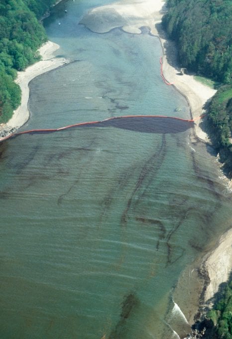 marine protection Greenpeace DEFRA UK fishing fisheries high seas Highly Protected Marine Areas HMPA oil spill