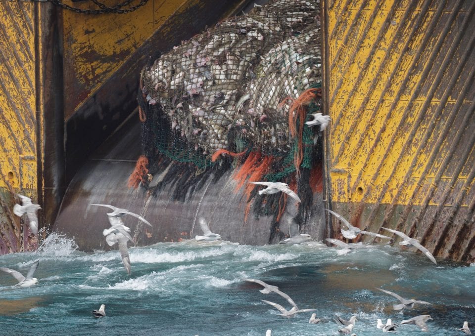 marine protection Greenpeace DEFRA UK fishing fisheries high seas Highly Protected Marine Areas HMPA