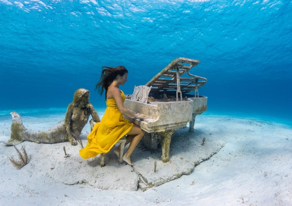 the bahamas andre musgrove underwater photographer freediving