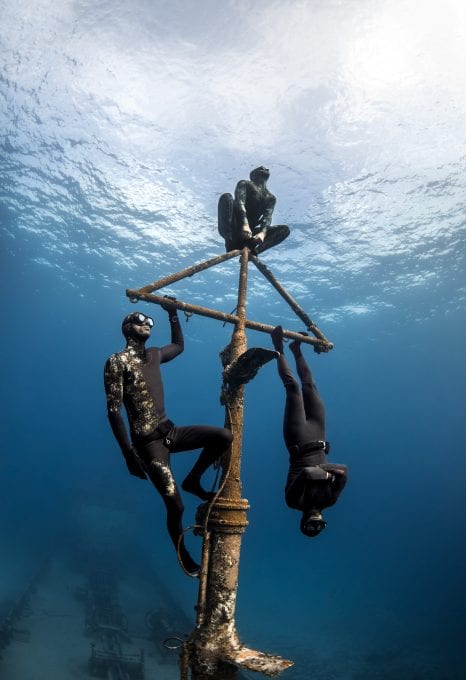the bahamas andre musgrove underwater photographer freediving