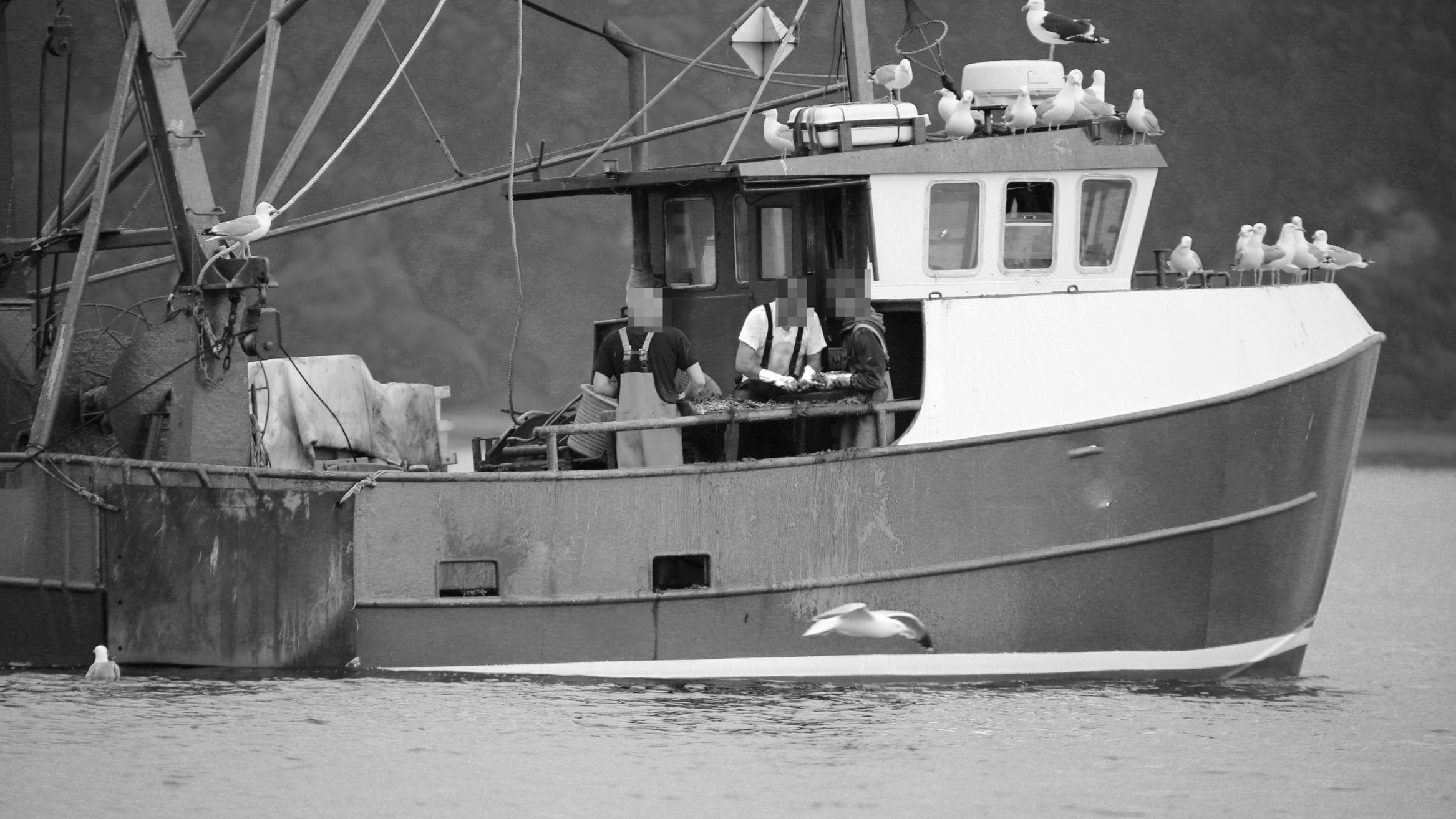 North sea dead fish discarded overfishing UK waters