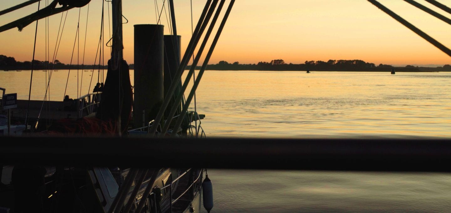 Rara Avis tall ship schooner sailing horizon