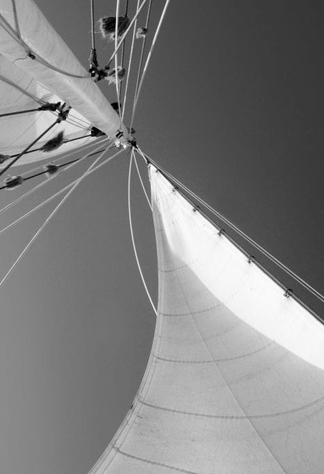 Rara Avis tall ship schooner sailing sails