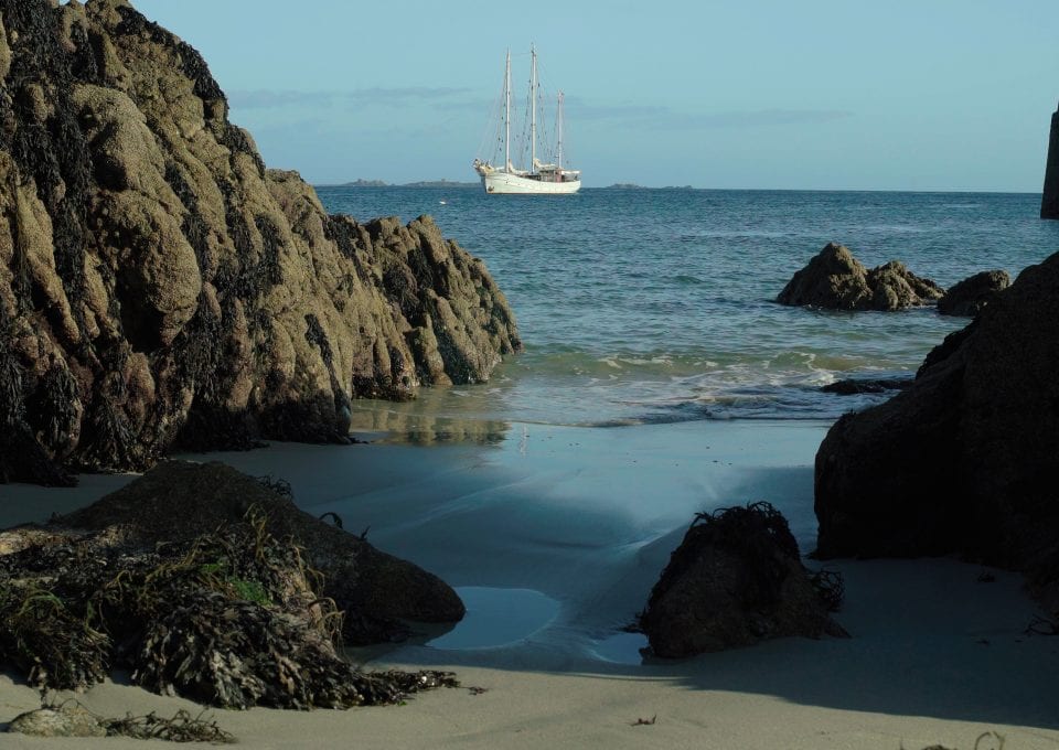 Rara Avis tall ship schooner sailing beach
