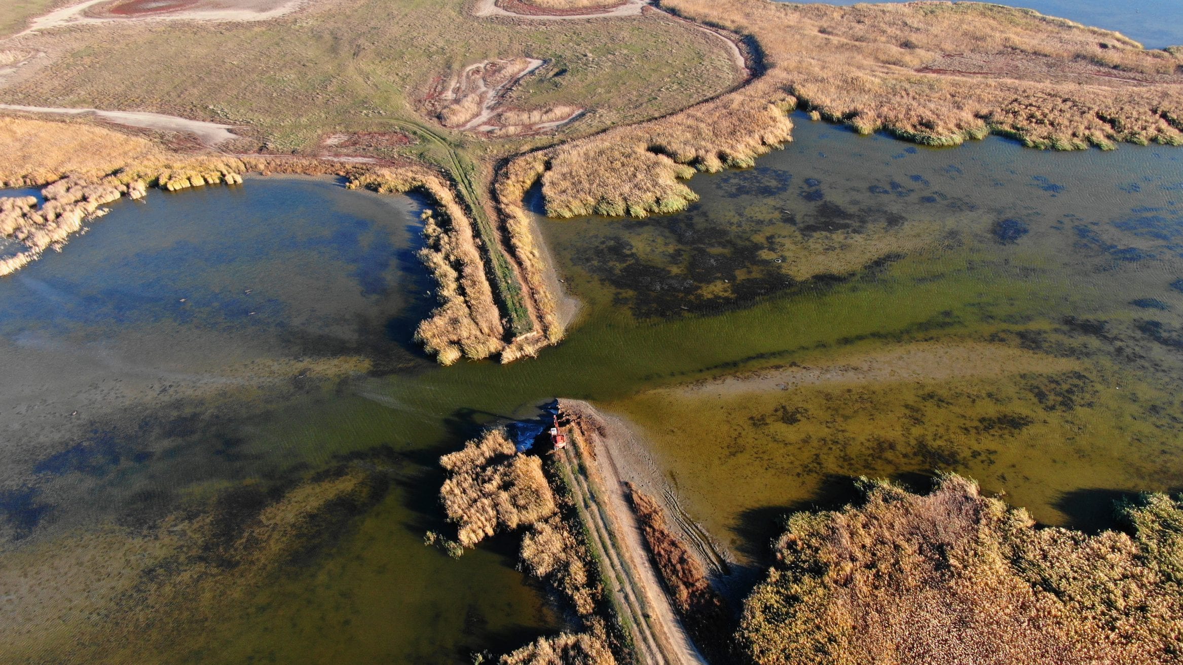 Rewilding Europe Ukraine dams