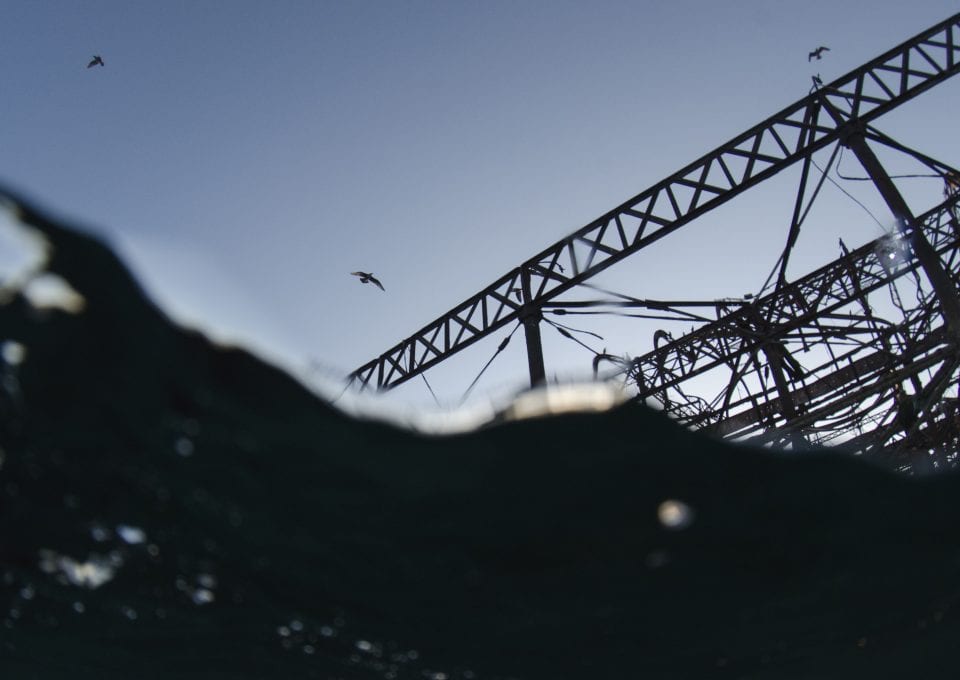 Brighton West Pier wreck Will Appleyard UK sea gulls