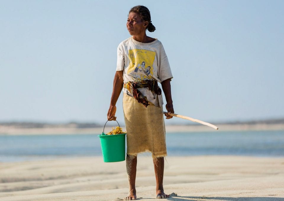 Kokoly Madagascar fisherwomen Garth Cripps Blue Ventures fishing