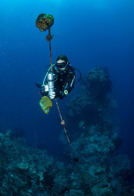 tessa hempson coral reef &beyond
