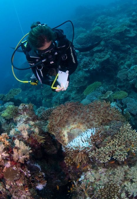 tessa hempson coral reef oceans without borders