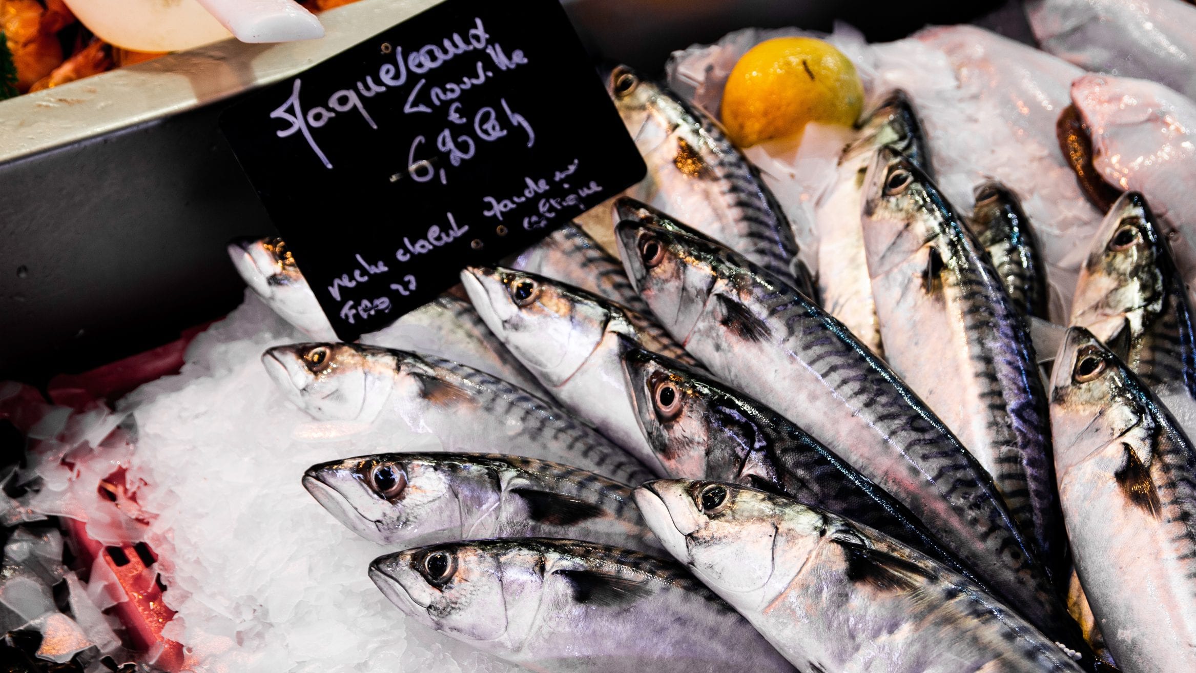 sustainable seafood MCS MPA