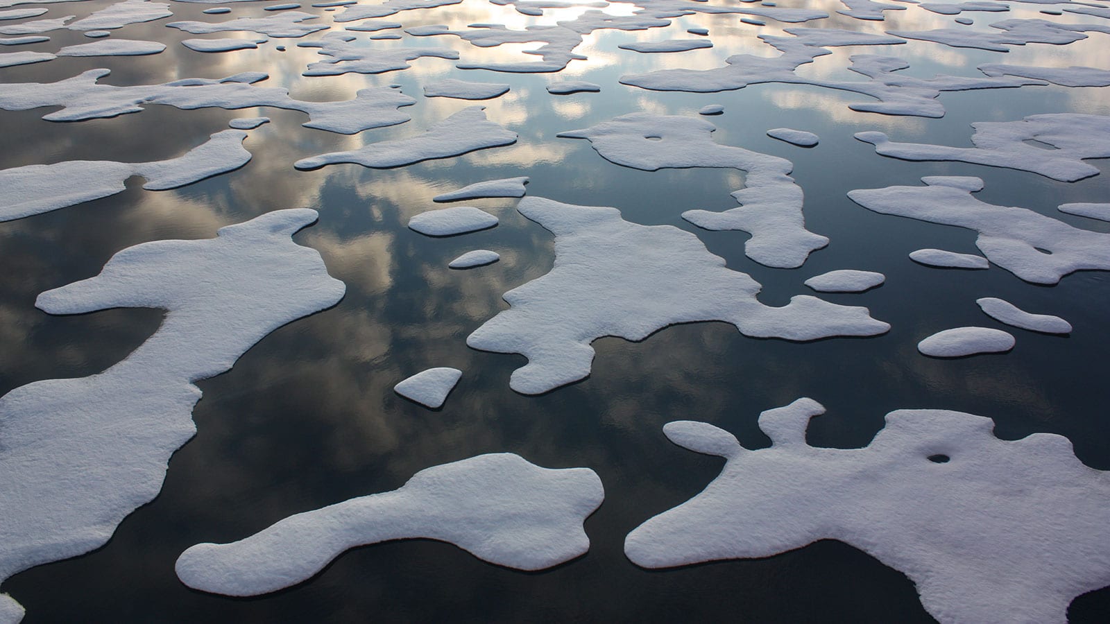 Arctic Sea Ice Melt NASA