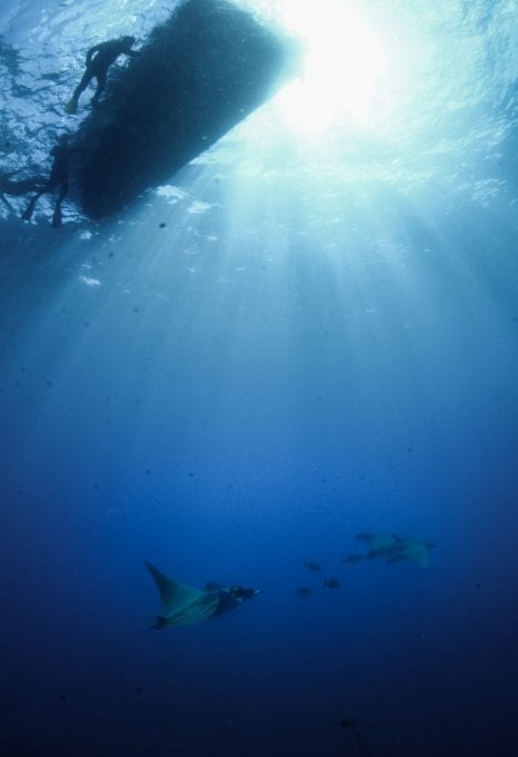 saint helena diving