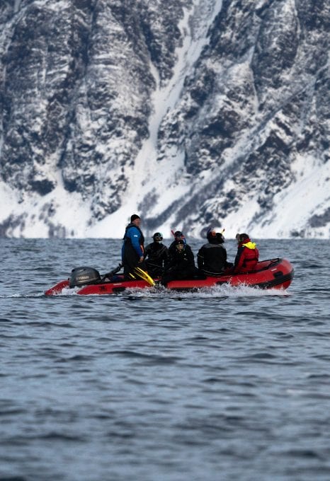 whale watching Norway Tromsø Zodiac