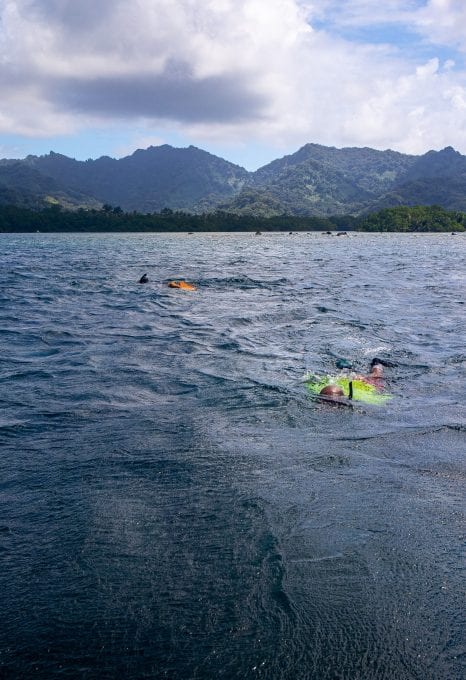 Crown of Thorns snorkelling Kosrae