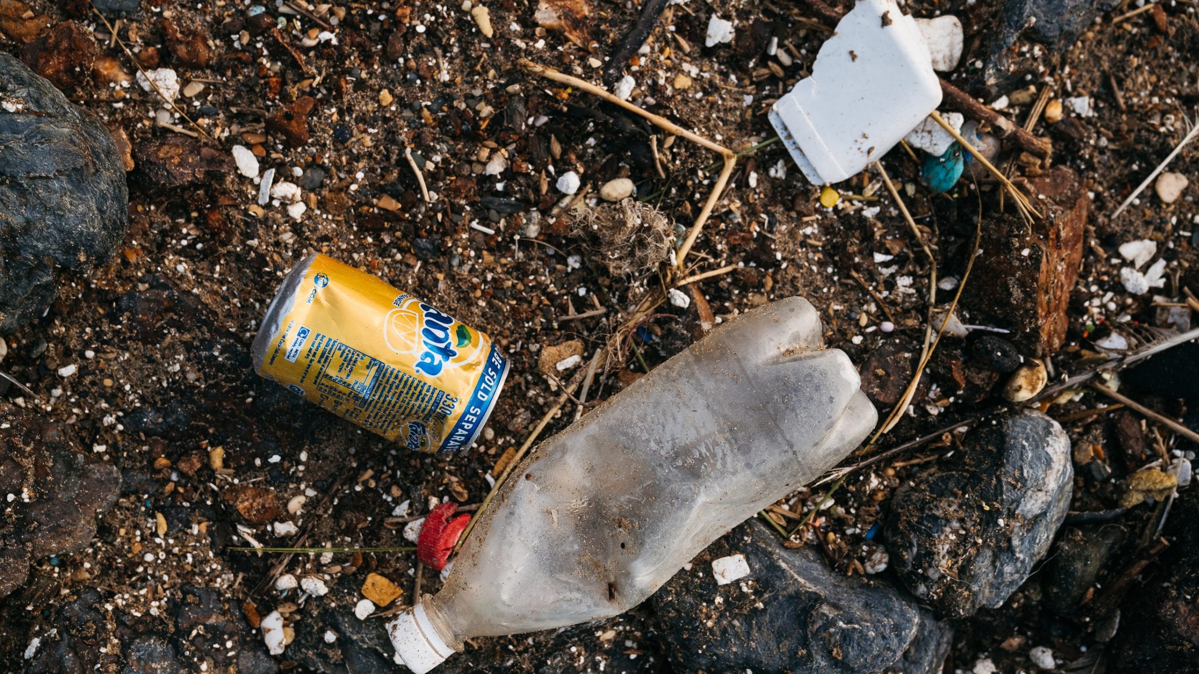 SAS digital beach clean plastic pollution