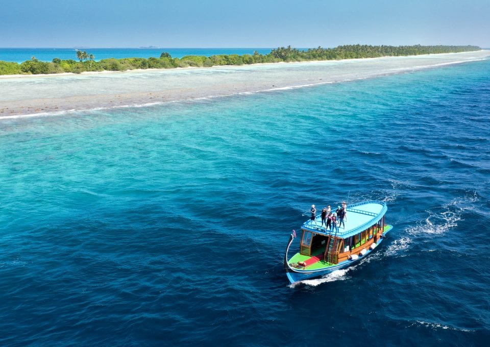 Maldives Whale Shark Research Programme