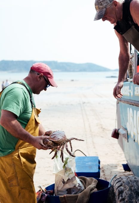 Jersey fishermen beach crab