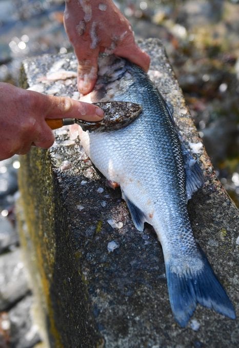 Jersey fishermen fish
