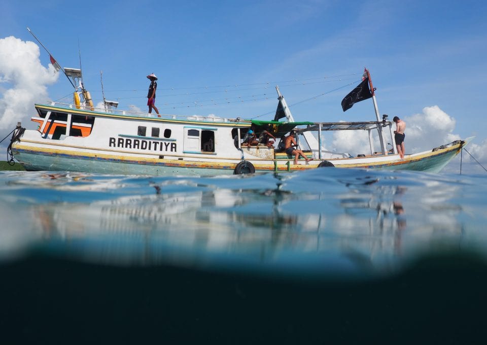Project Hiu Shark Girl Madison Bali