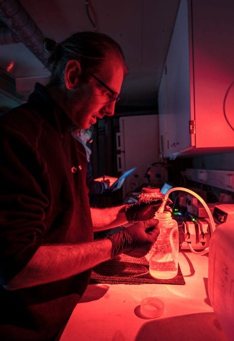 polar night arctic light pollution marine organisms lab samples