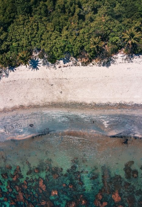 Great Barrier Reef Legacy Coral Biobank drone