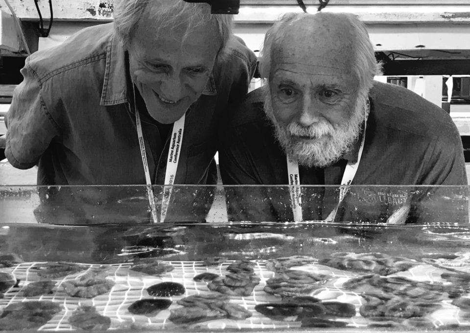 Great Barrier Reef Legacy Coral Biobank Lab