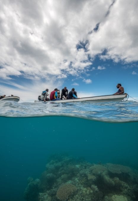 The Great Sea Reef Fiji WWF data collection